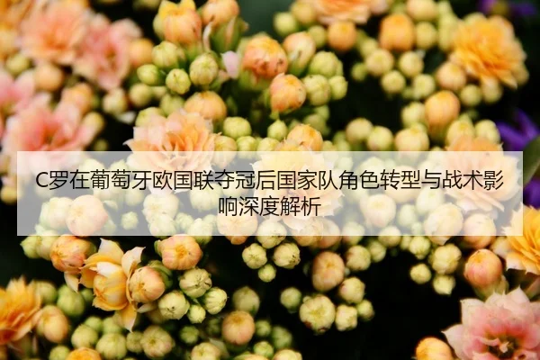 C罗在葡萄牙欧国联夺冠后国家队角色转型与战术影响深度解析